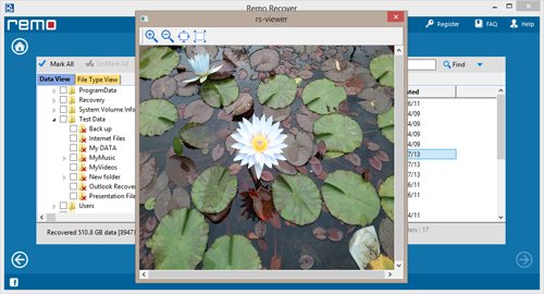 File and Folder Recovery  - Preview Recovered Data